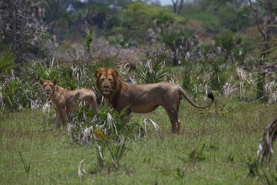 f85e84ba91c724169f91a6addc20277b.jpg#asset:670