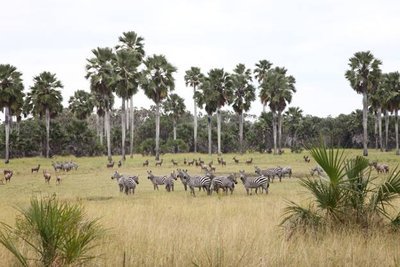 41613e429a413491e236f3b569d4e9e8.jpg#asset:541