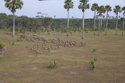 b3854404f8cd24d44b0098357553a7e1.jpg#asset:538