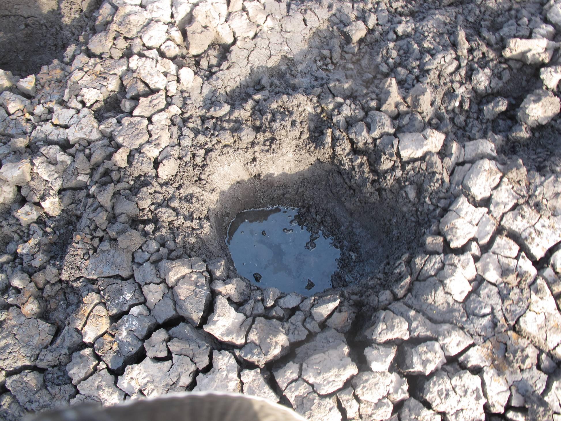 Elephant-footprint.jpg#asset:861