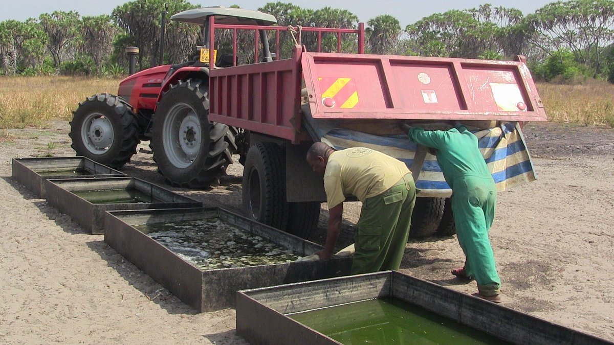 Tractor-and-trailer-filling-troughs-LR.jpg#asset:867